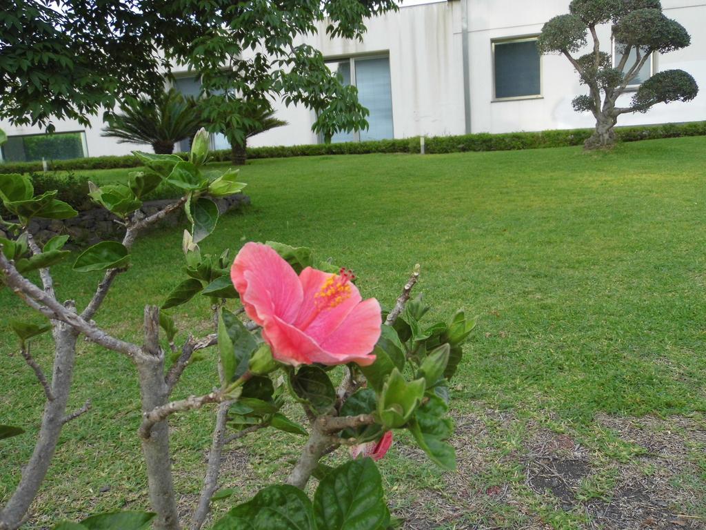 Fiore Dell'Etna Apartment Santa Venerina Exterior photo
