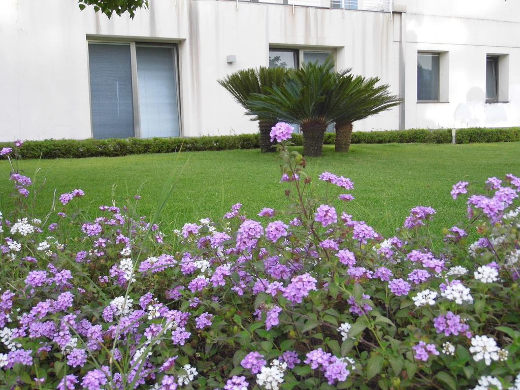 Fiore Dell'Etna Apartment Santa Venerina Exterior photo